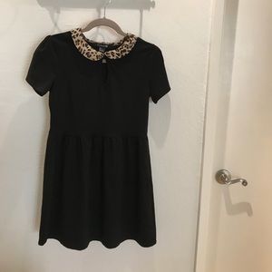 Forever 21 Black Dress With Cheetah Print Collar